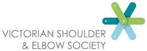 vses logo horiz rgb sitenew.png.webp